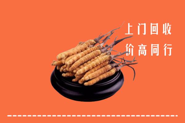 高价求购：济南市商河回收散虫草