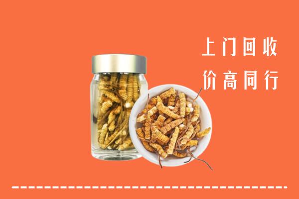 济南市商河回收冬虫夏草