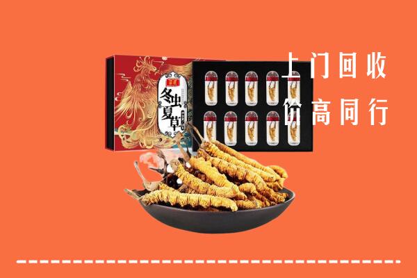 济南市商河回收虫草